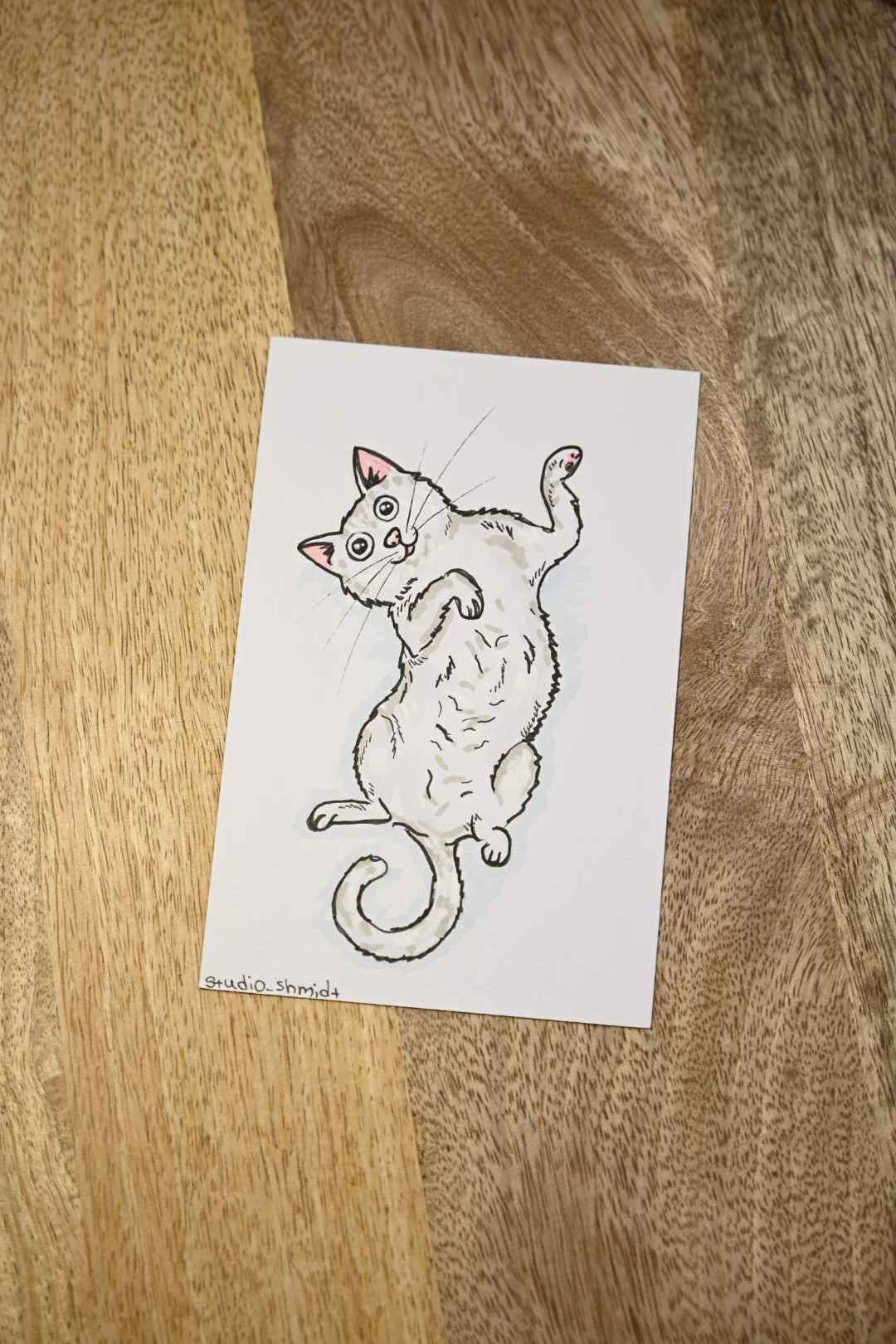 Originale Tierzeichnungen von den MalTagen