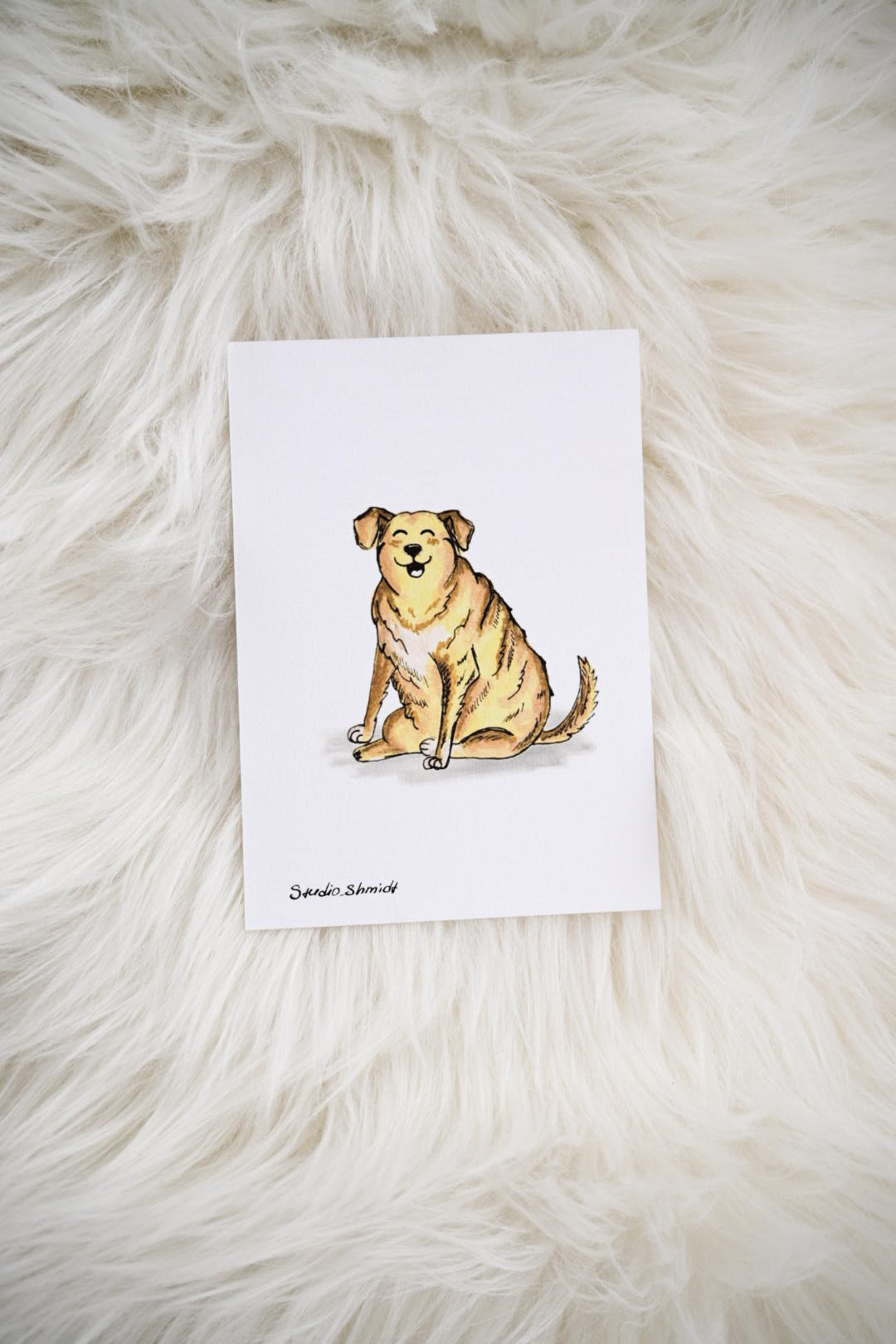 Postkarte "Lustige Tiere" – Hochwertiger Druck (Motiv nach Wahl!)