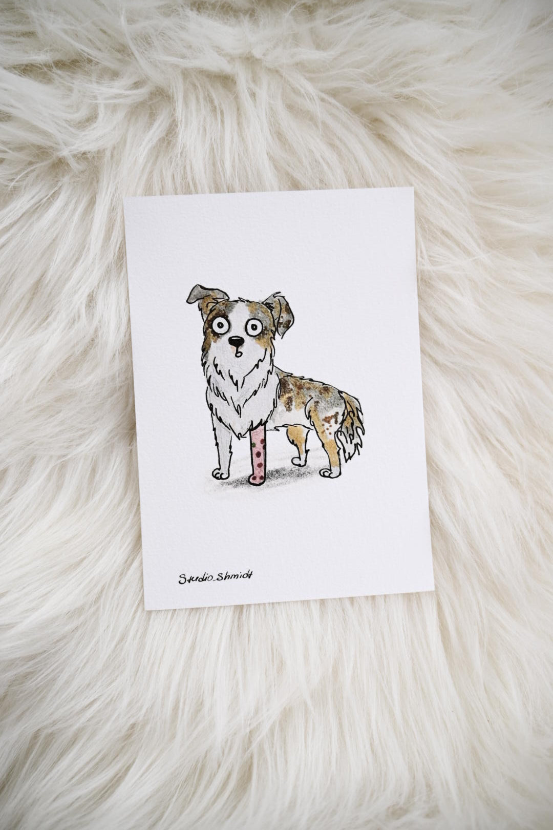 Postkarte "Lustige Tiere" – Hochwertiger Druck (Motiv nach Wahl!)