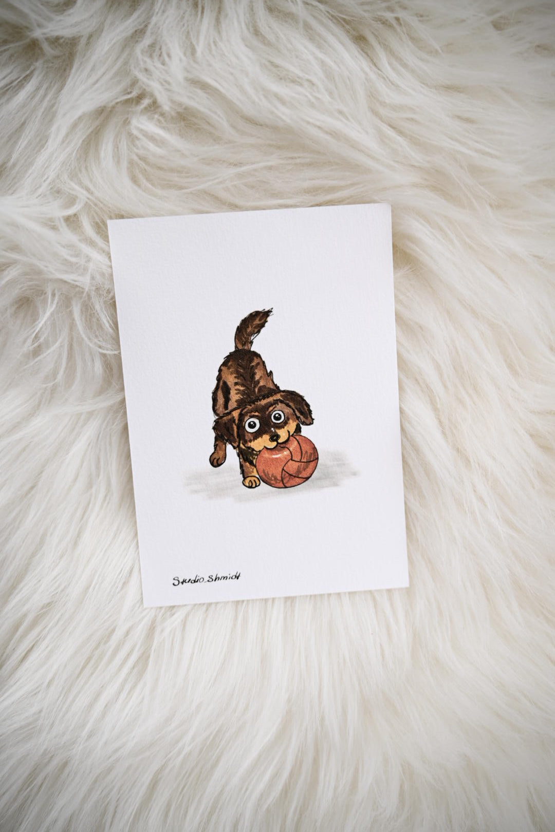 Postkarte "Lustige Tiere" – Hochwertiger Druck (Motiv nach Wahl!)